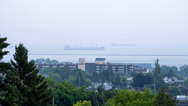 Northwestern Ontario Faces 140 Active Wildfires and Evacuation Alerts