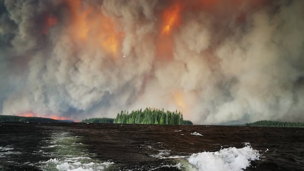 Ontario Faces Record Wildfire Season with Over 7,250 km² Burned