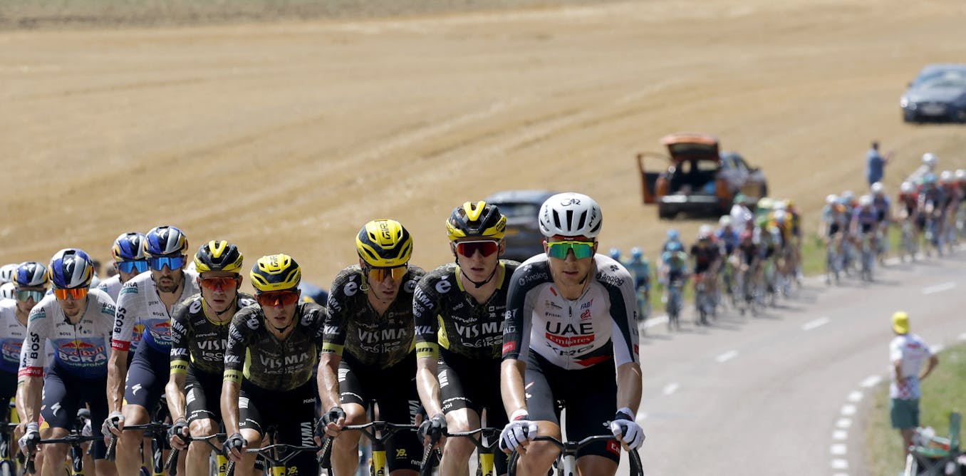 Understanding the roles and strategies in the Tour de France peloton