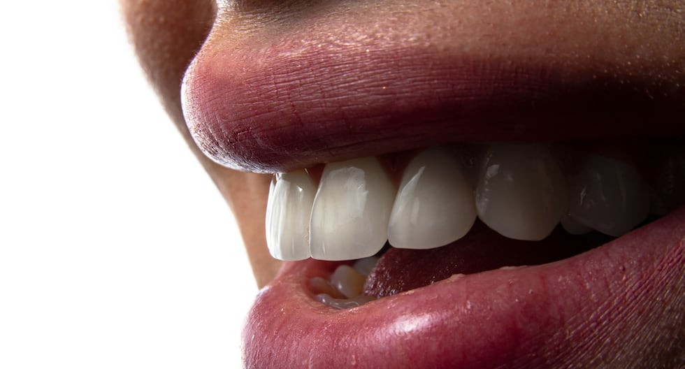 Investigadores crean dientes humanos en cerdos usando células madre