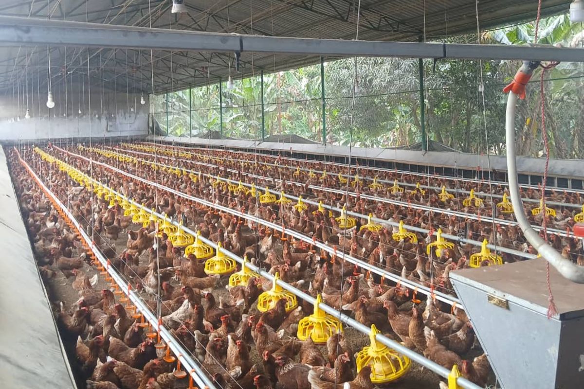 Zanzibar invests in local farming to reduce reliance on imported foods