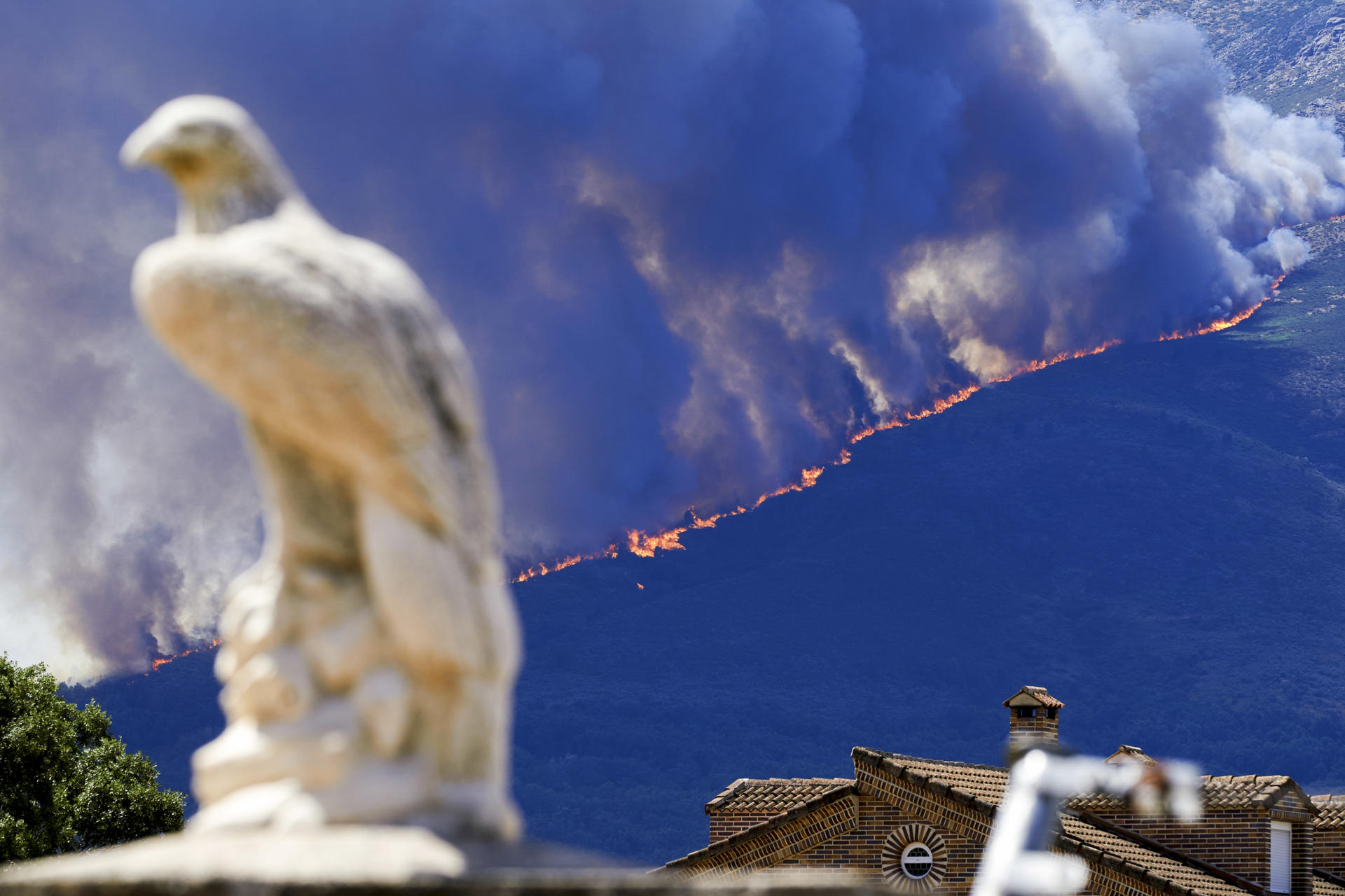 Incendios forestales en España superan las 15 mil hectáreas afectadas