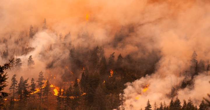 BC Wildfires Cause Evacuations and Firefighting Efforts Continue