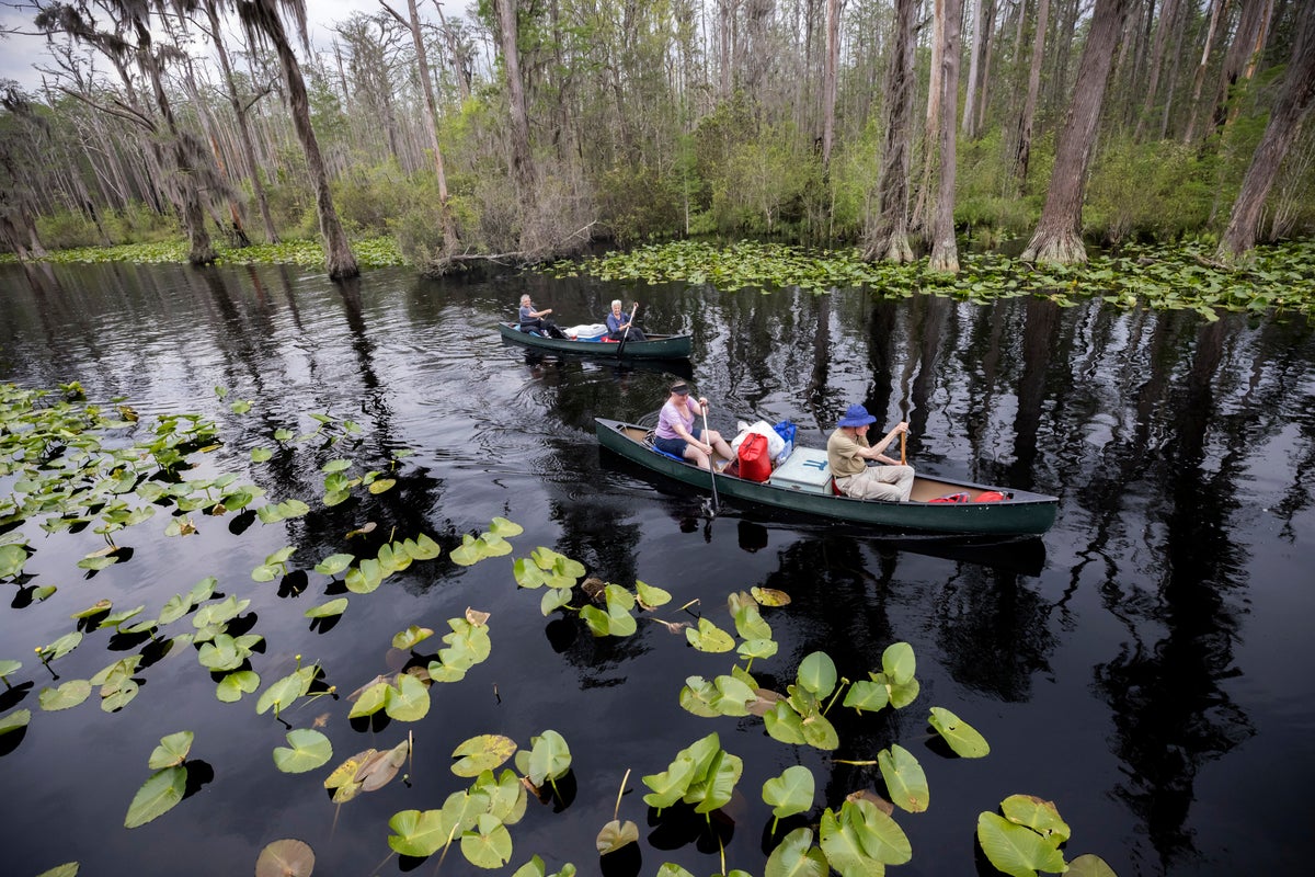 UNESCO adds Georgia's Okefenokee Swamp, South Korea's tidal flats, and China's porcelain sites to World Heritage List
