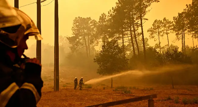 Wildfires Force Mass Evacuations in France and Spain as Climate Crisis Intensifies