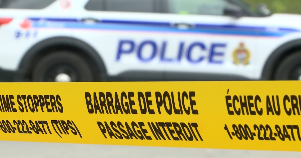 Ottawa Police Respond to Four Assaults, Three Involving Weapons
