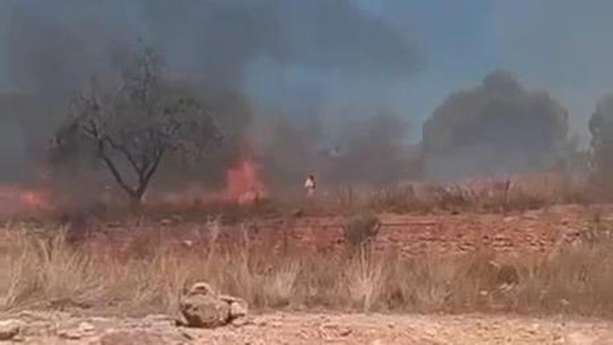 Incendios forestales en Cataluña y España: última hora de los fuegos en Madrid, Ávila y Castellón