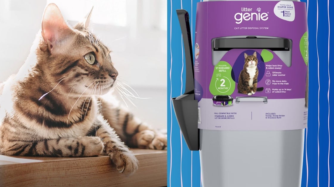 Litter Genie Pail: A Game-Changer for Cat Owners