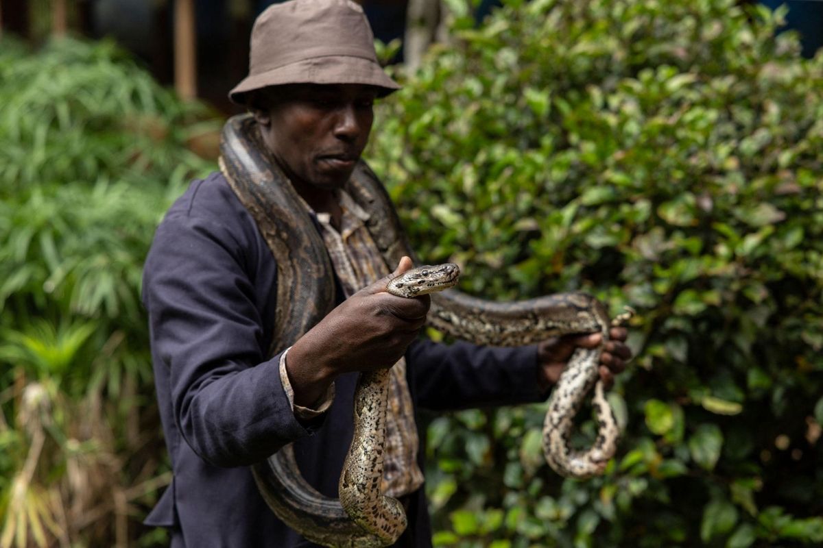 TAWA warns against keeping wild animals without permits