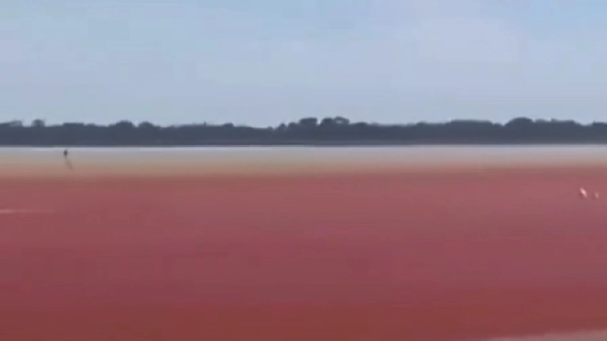Contaminación y El Niño causan coloración anormal en ciénaga de Barrancabermeja