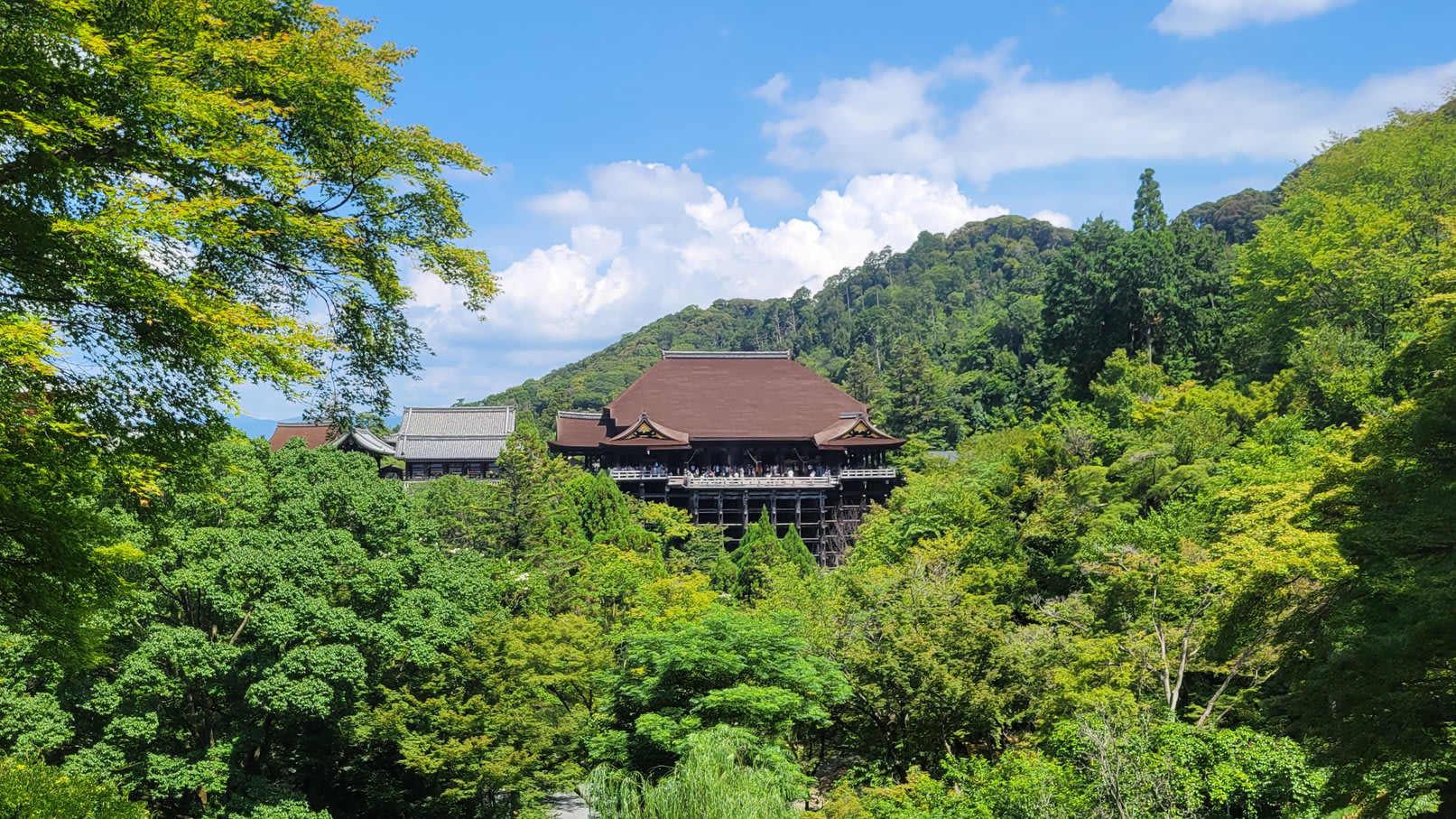 20250816_105053_rez_j5zhoc