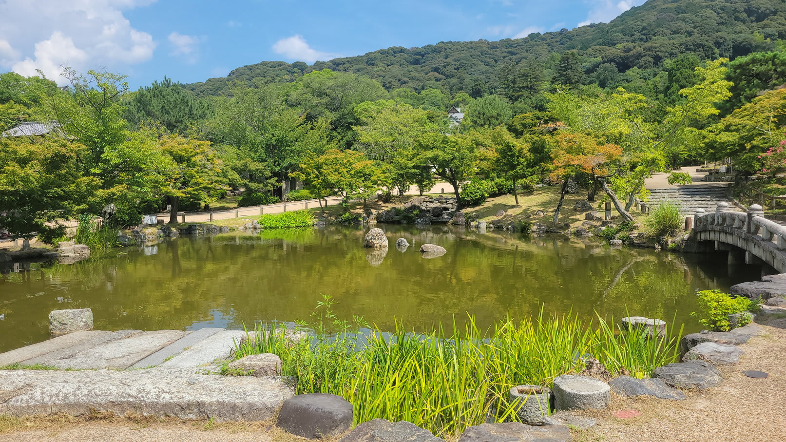 20250816_131155_001_rez_gohjl1