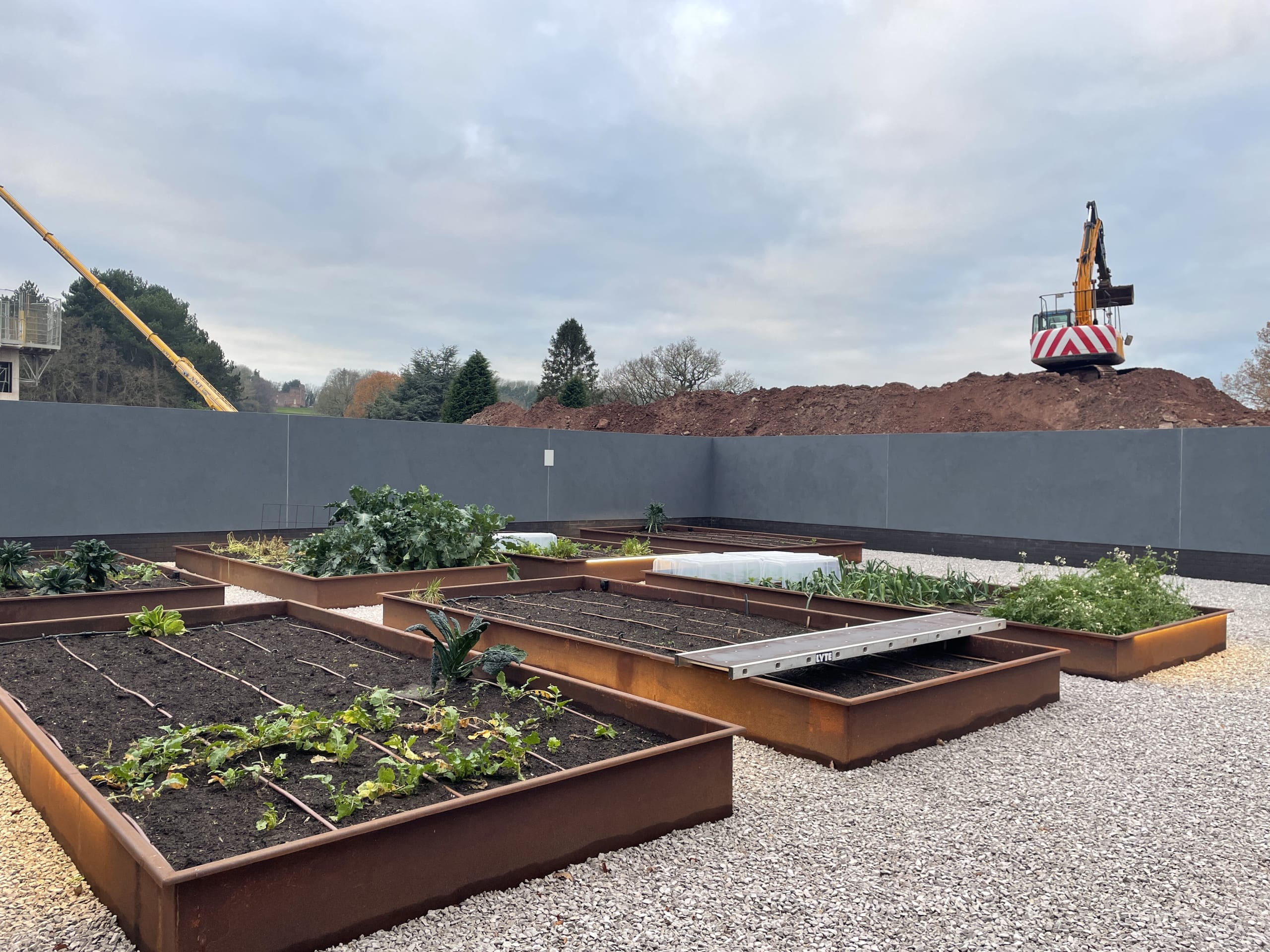 Raised corten steel vegetable garden beds with growing plants on gravel surface, construction site with crane in background