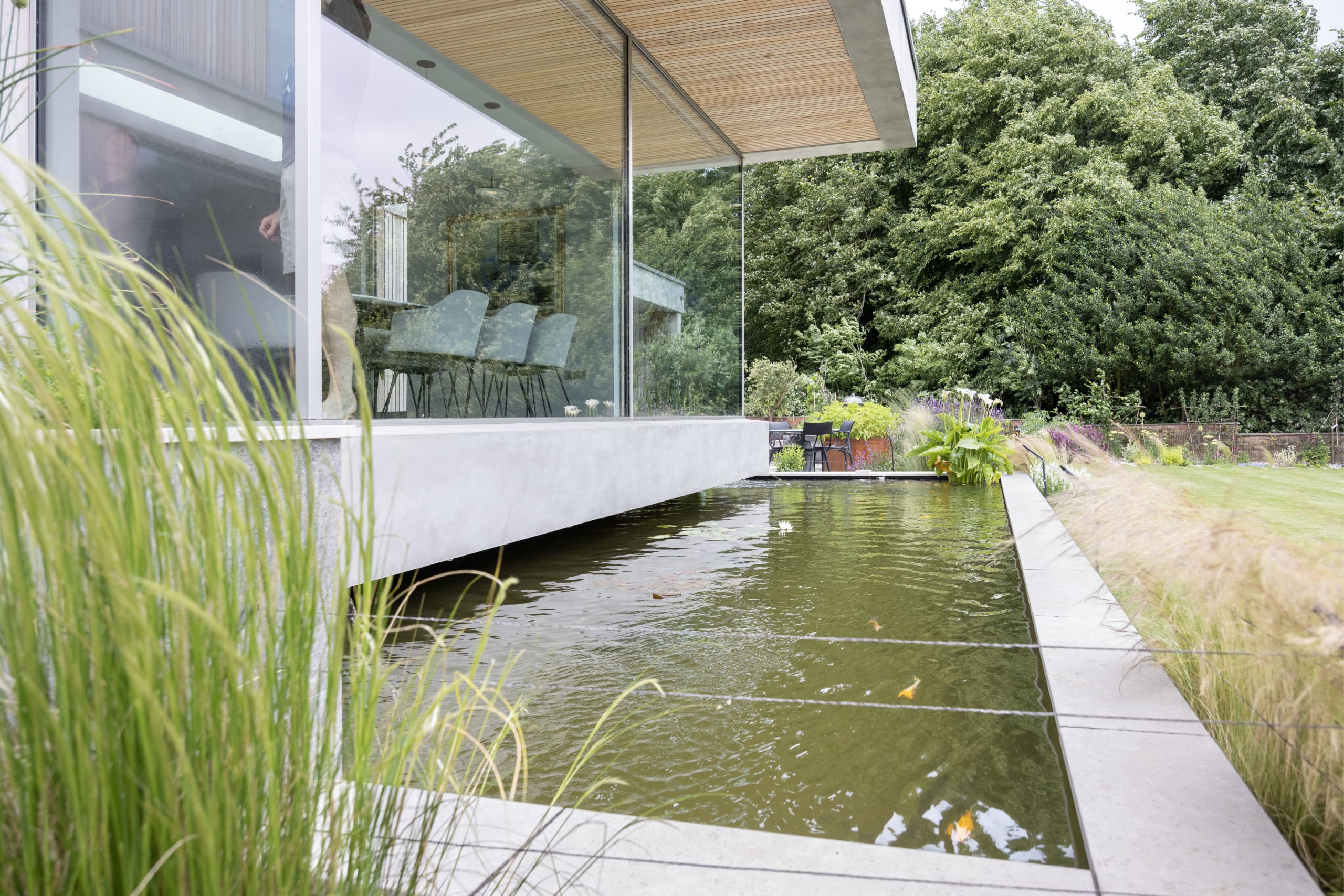 Glass-walled pavilion cantilevers over a koi pond, framed by tall grasses and mature trees