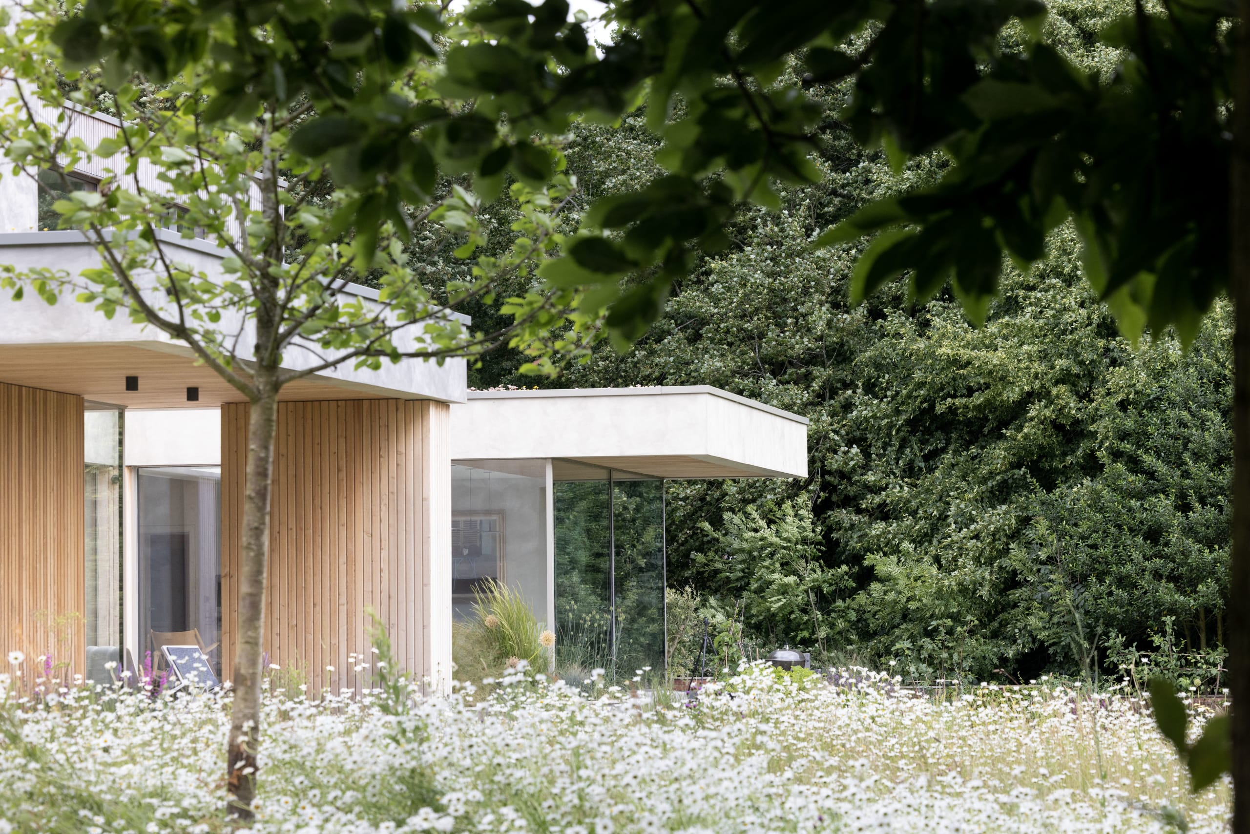 Timber-clad modern house with a cantilevered flat roof, seen through a wildflower meadow and trees
