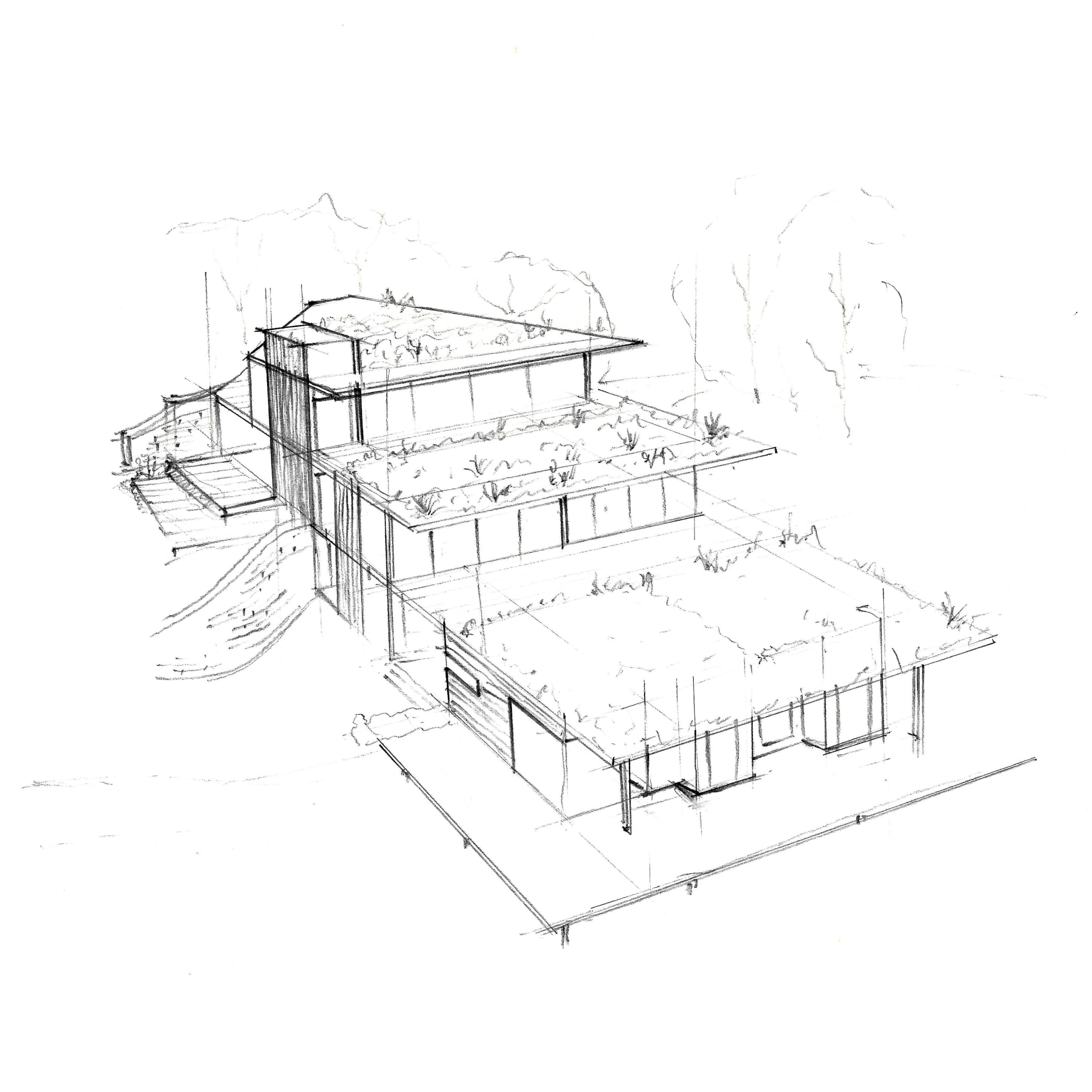 Pencil architectural sketch showing isometric view of modern multi-level residence with green roofs and terraced design
