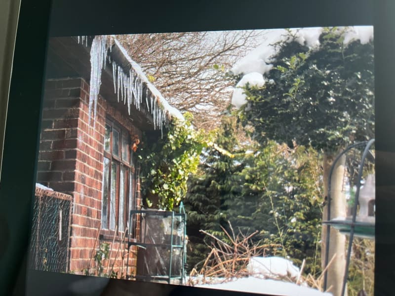 Red brick building with long icicles hanging from roof edge, surrounded by snow-covered evergreen trees in winter garden