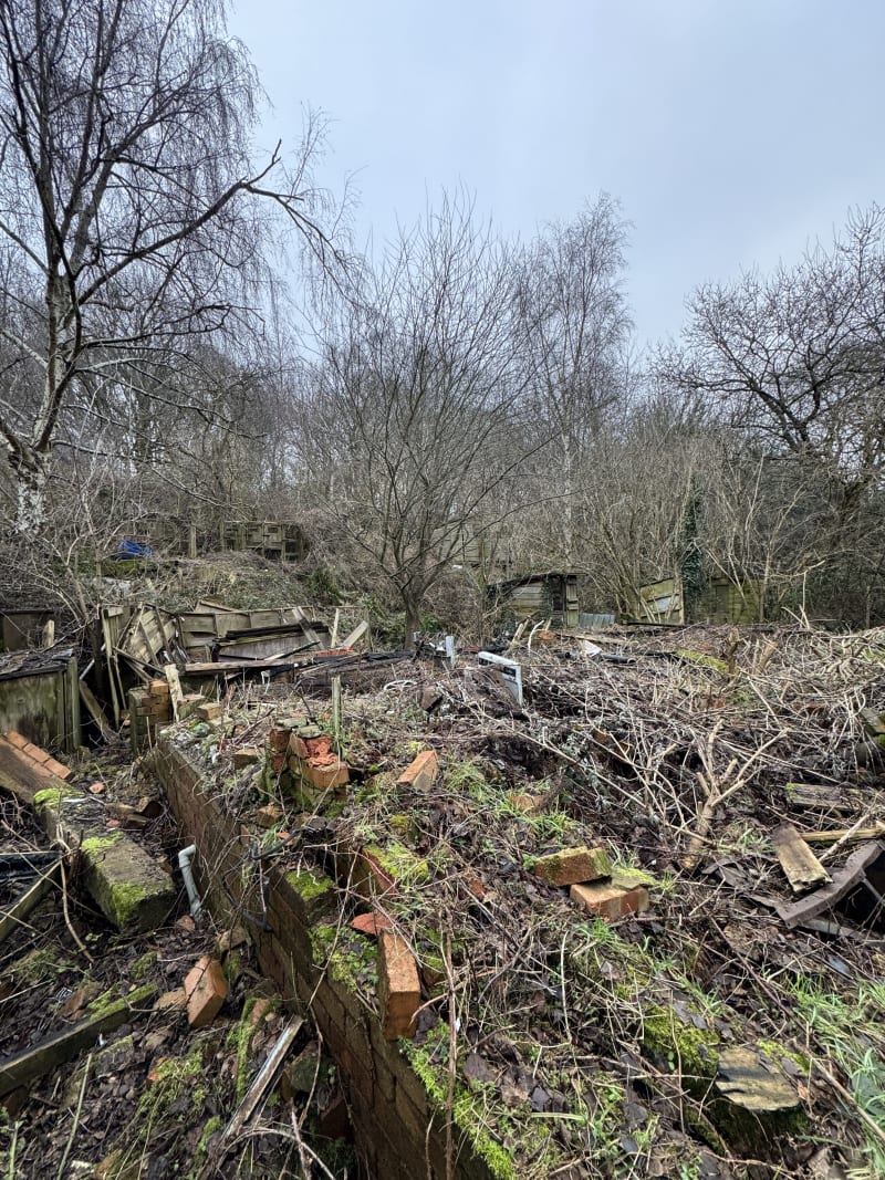 Overgrown derelict site with demolished brick structures, scattered debris, bare winter trees, and dilapidated outbuildings
