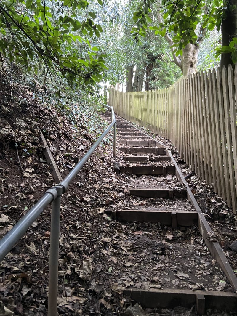Rustic wooden outdoor staircase with metal handrails ascending through leafy trees alongside a wooden picket fence