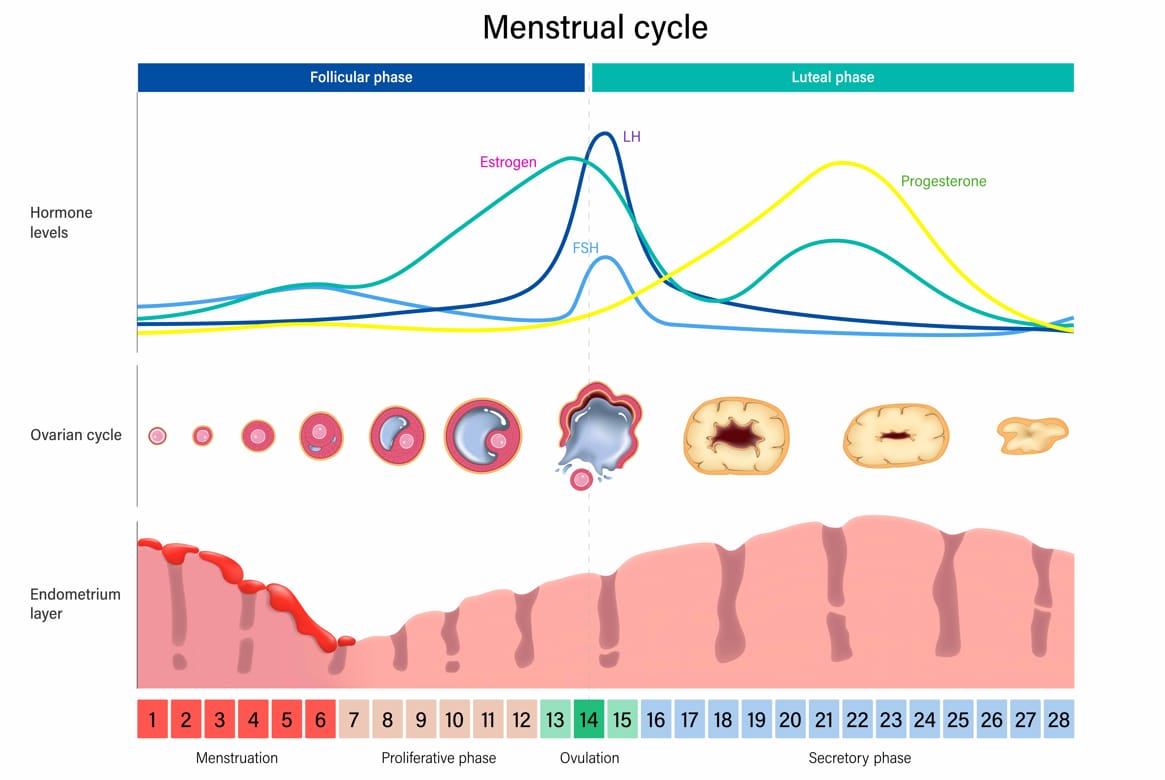 WhatsApp Image 2026-03-23 at 2.41.31 PM WhatsApp Image 2026-03-23 at 2.41.31 PM