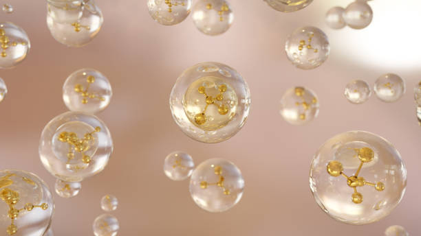 istockphoto-2155571662-612x612 istockphoto-2155571662-612x612