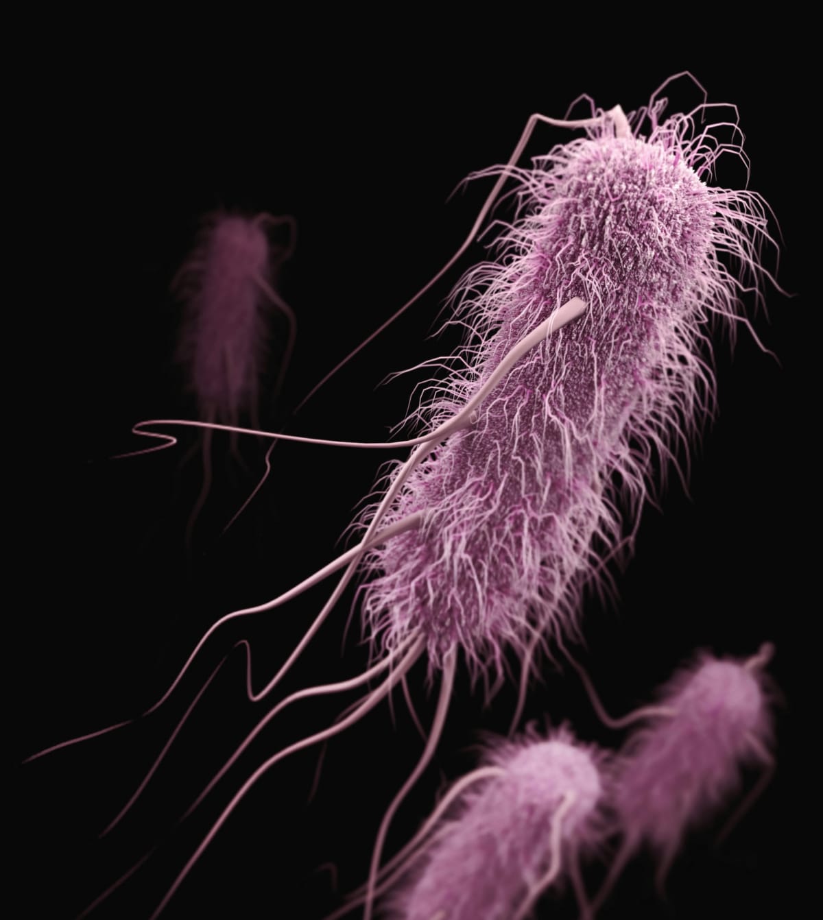 cdc-7tgIlnxj2bM-unsplash cdc-7tgIlnxj2bM-unsplash
