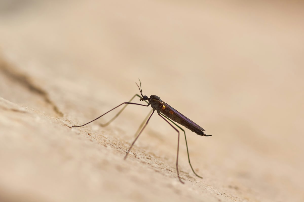 wolfgang-hasselmann-wXw83xKVBQM-unsplash