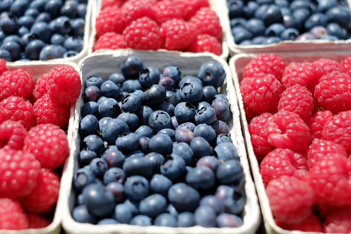 couleur-berries-1493905_1920