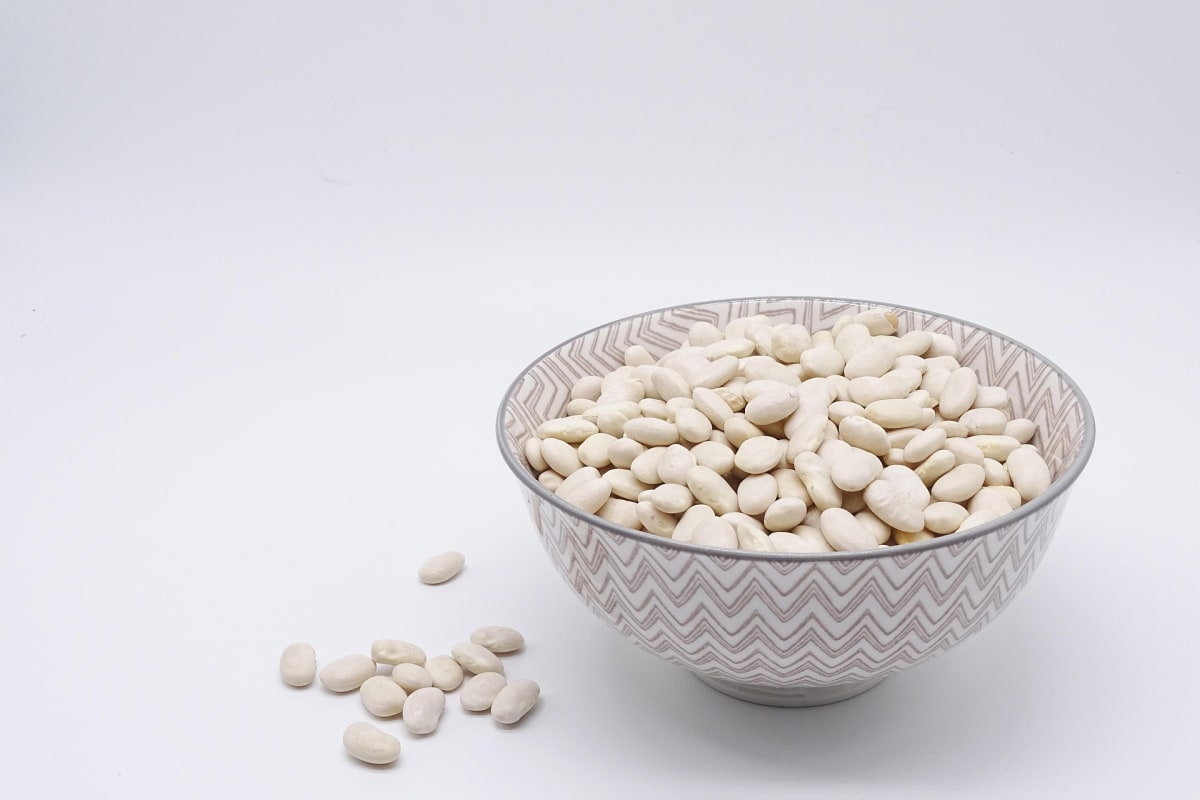 5558721-bean-8451254_1920 5558721-bean-8451254_1920