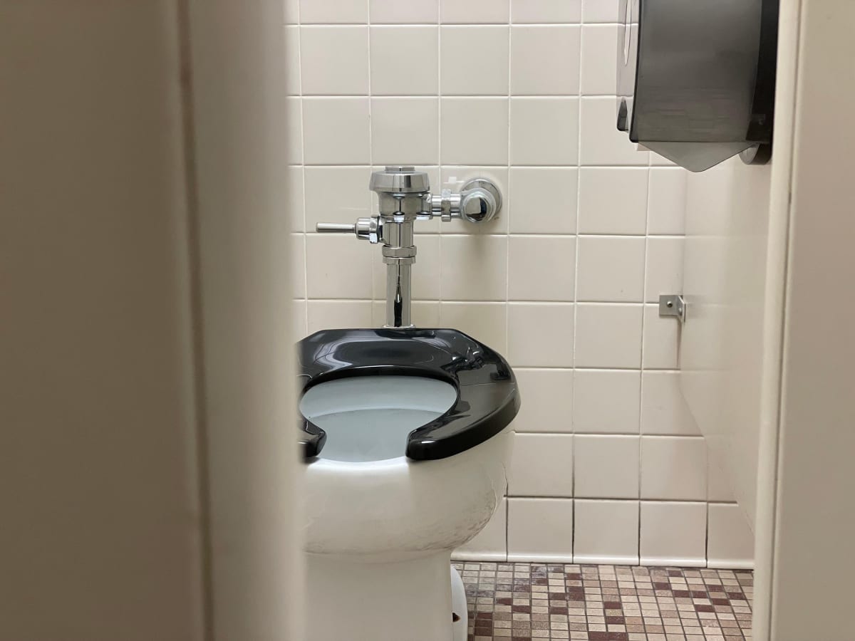 stevedimatteo-toilet-6343979_1920