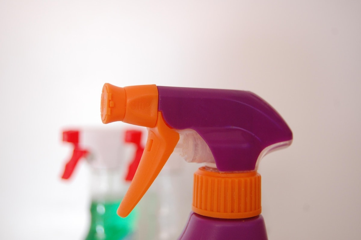 mizianitka-cleaning-532409_1920 mizianitka-cleaning-532409_1920