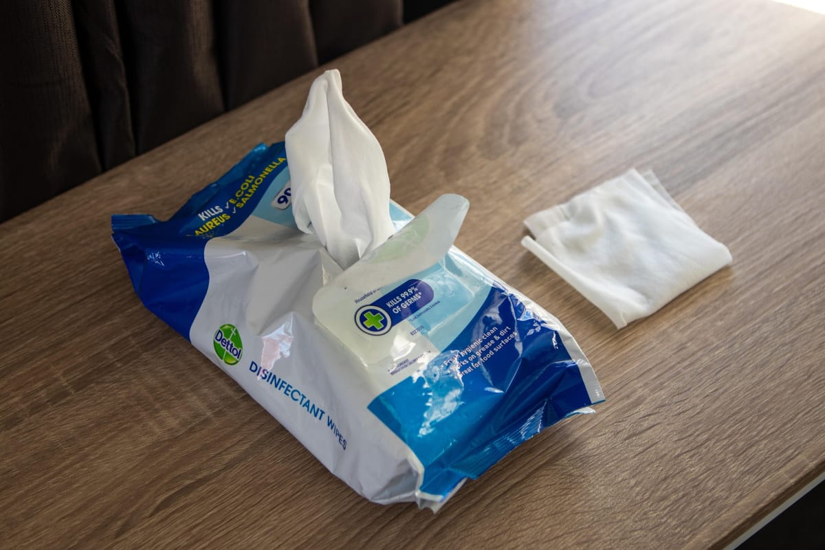 squirrel_photos-disinfectant-5093500_1920 squirrel_photos-disinfectant-5093500_1920
