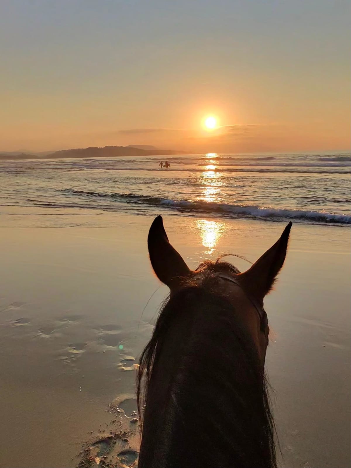 Atardecer sobre el mar entre las orejas de un caballo, en la ruta de playa