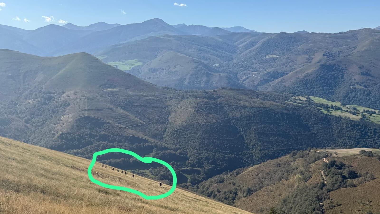 Mar de montañas del alto Saja