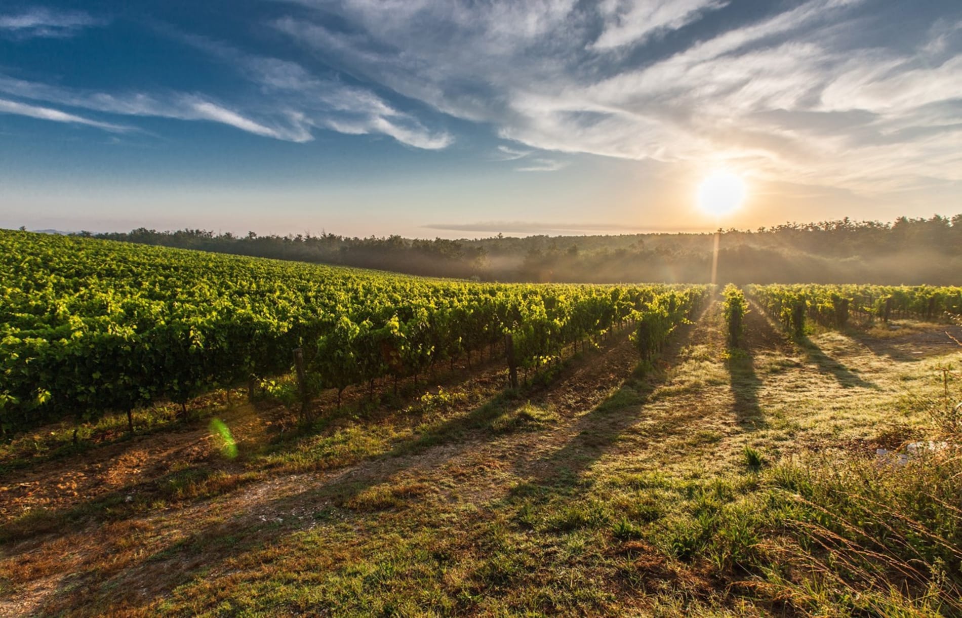 Vino y senderismo en el norte de España