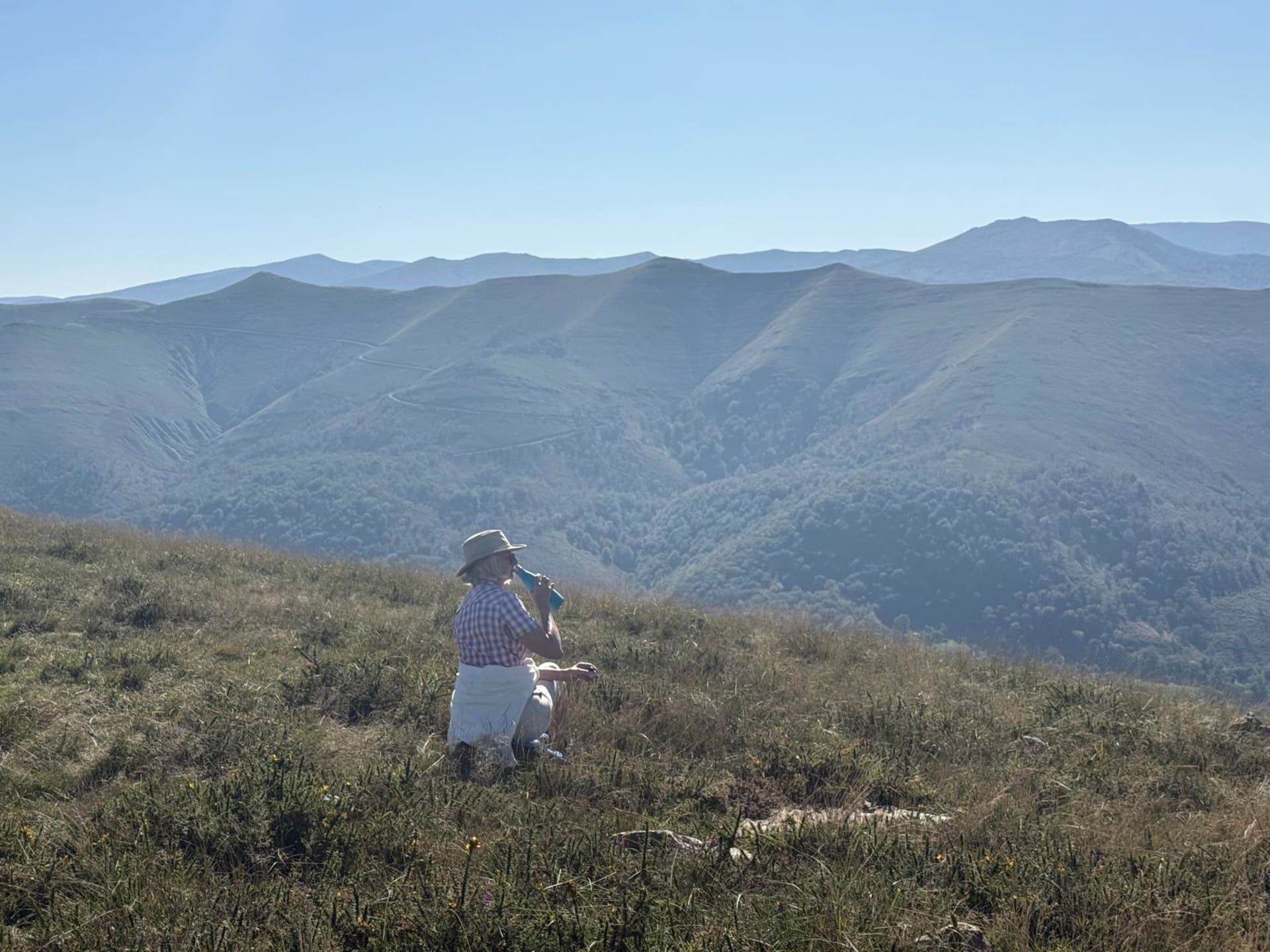 Brezal en flor en los altos de la reserva