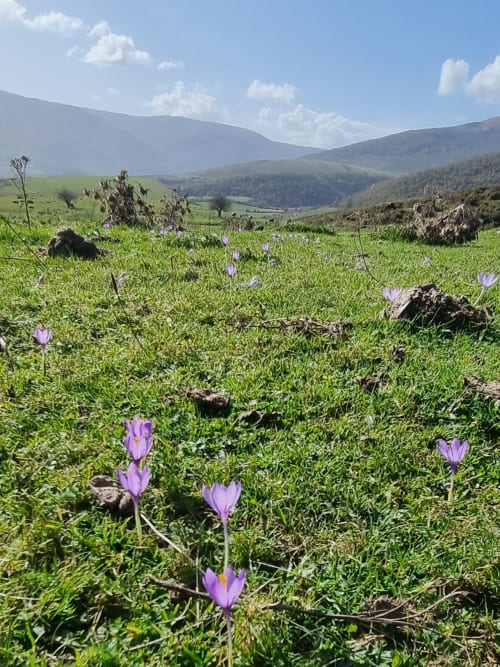 Group activities in the Cabuérniga valley and on the Cantabrian coast