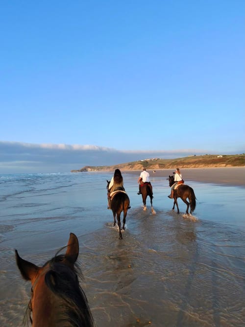 A group of riders cantering through the shallows