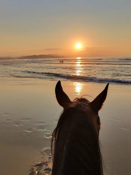Sunset over the sea framed between a horse's ears