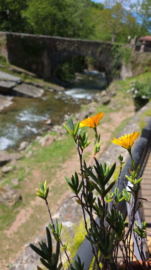 Group activities in the Cabuérniga valley and on the Cantabrian coast