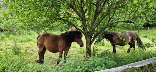 Group activities in the Cabuérniga valley and on the Cantabrian coast