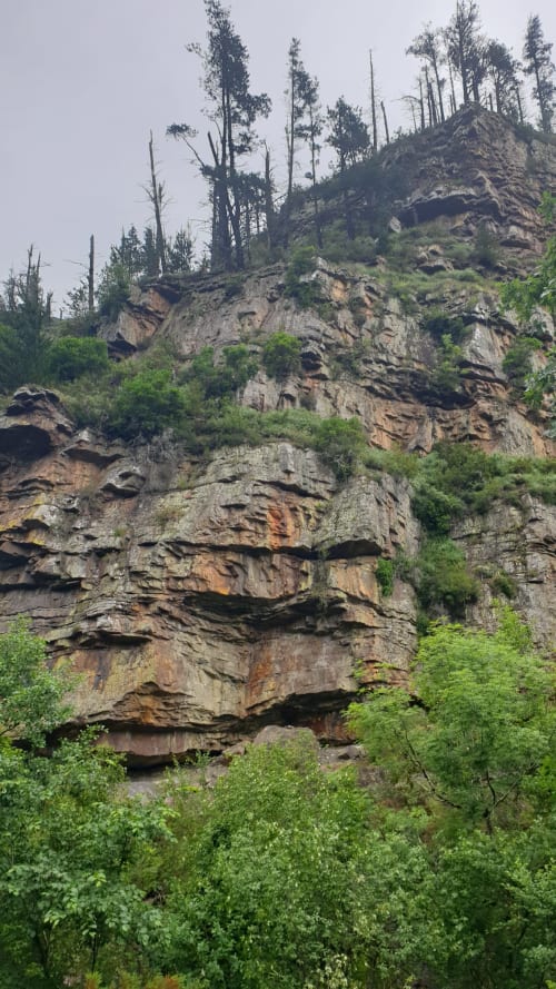 Group activities in the Cabuérniga valley and on the Cantabrian coast