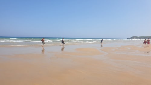 Group activities in the Cabuérniga valley and on the Cantabrian coast