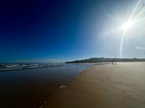 Group activities in the Cabuérniga valley and on the Cantabrian coast