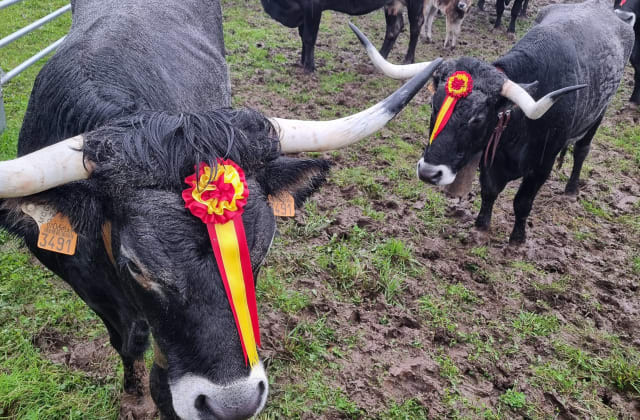 Actividades de grupo en el valle de Cabuérniga y la costa de Cantabria