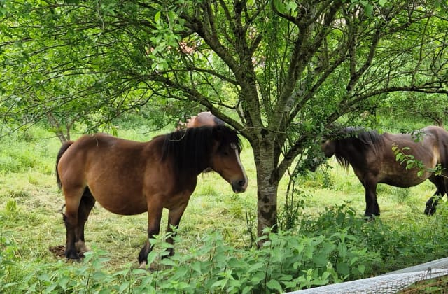 Group activities in the Cabuérniga valley and on the Cantabrian coast