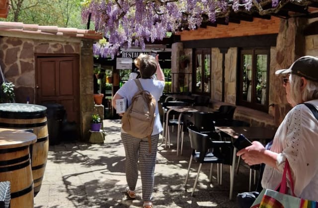 Group activities in the Cabuérniga valley and on the Cantabrian coast