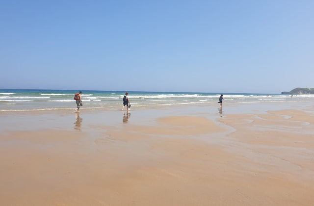 Group activities in the Cabuérniga valley and on the Cantabrian coast