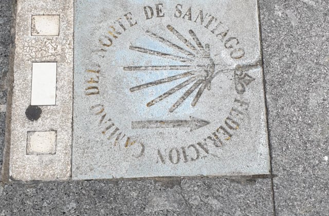 Group activities in the Cabuérniga valley and on the Cantabrian coast