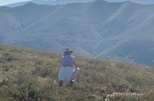La berrea del ciervo en Saja-Besaya: cuándo y dónde